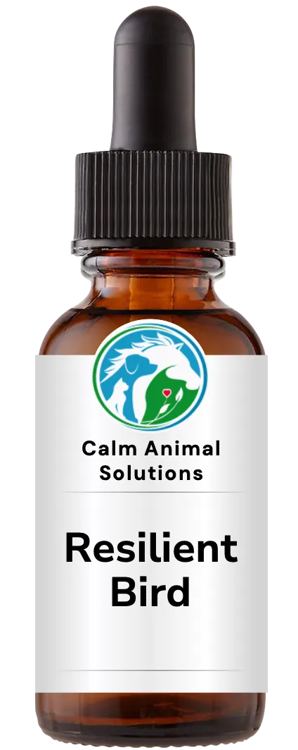 1 amber dropper bottle with Calm Animal Solutions label