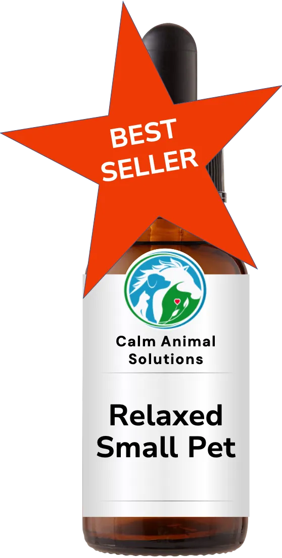1 amber dropper bottle with Calm Animal Solutions label