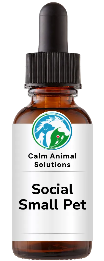 1 amber dropper bottle with Calm Animal Solutions label