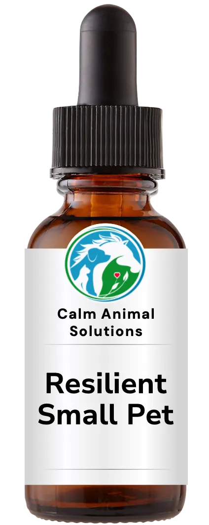 1 amber dropper bottle with Calm Animal Solutions label