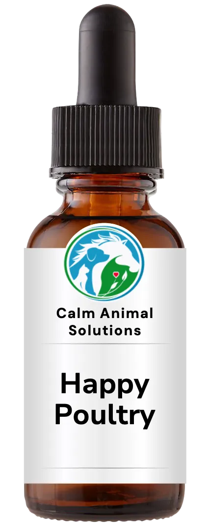 1 amber dropper bottle with Calm Animal Solutions label