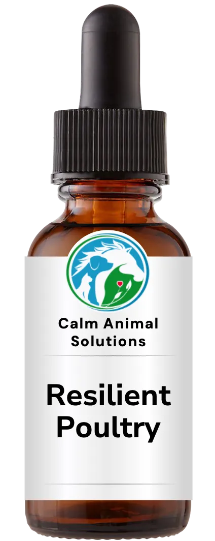 1 amber dropper bottle with Calm Animal Solutions label