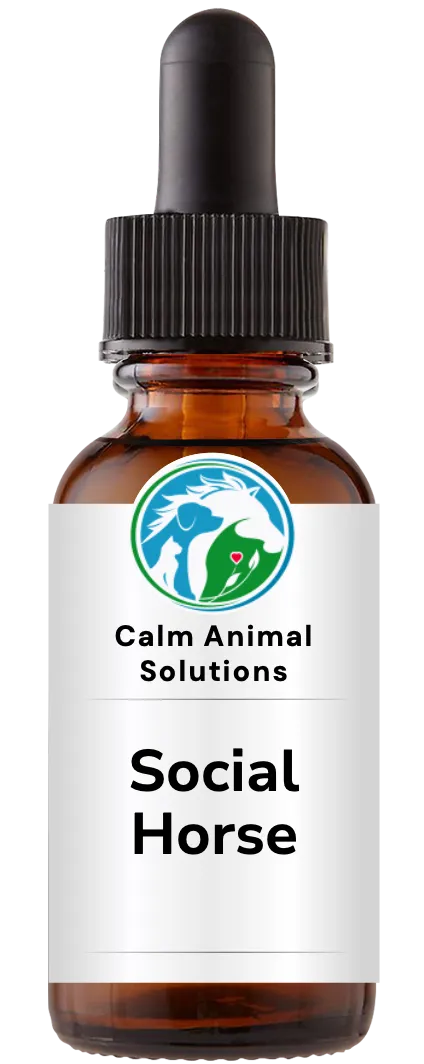 1 amber dropper bottle with Calm Animal Solutions label