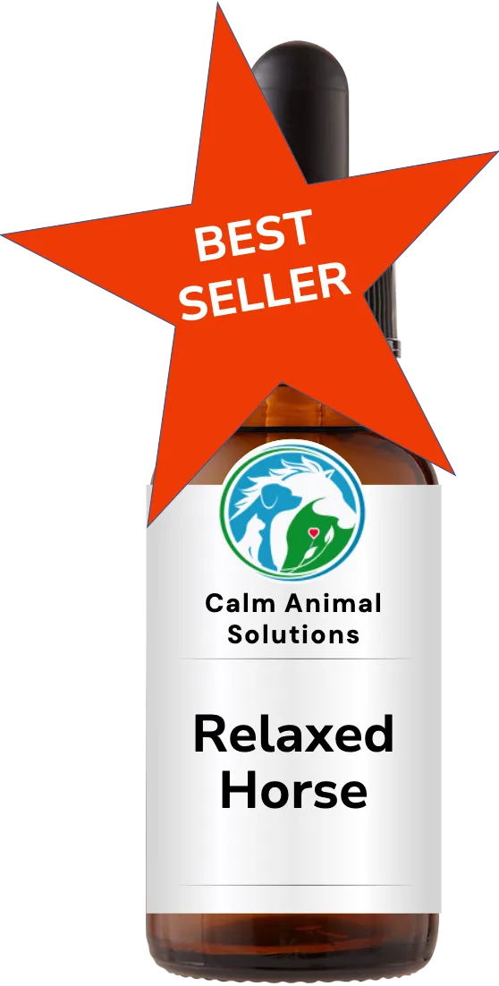 1 amber dropper bottle with Calm Animal Solutions label