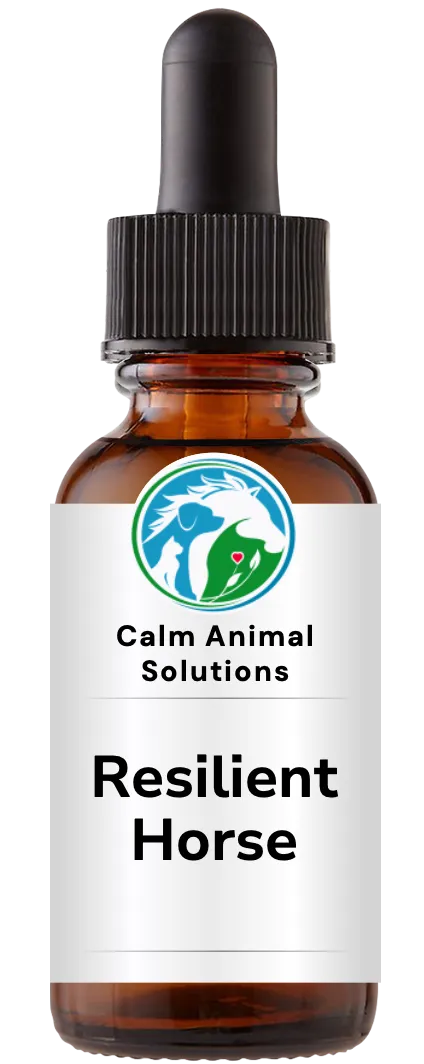 1 amber dropper bottle with Calm Animal Solutions label