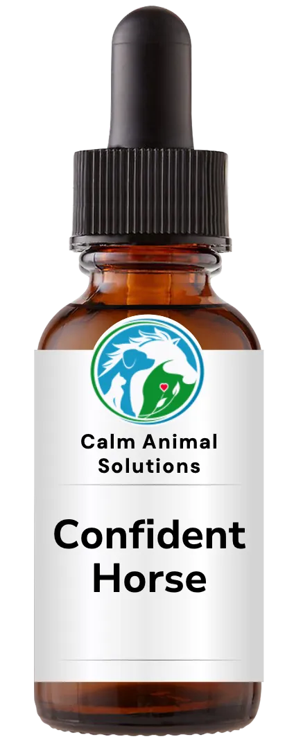 1 amber dropper bottle with Calm Animal Solutions label