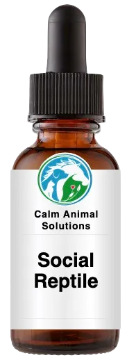 1 amber dropper bottle with Calm Animal Solutions label