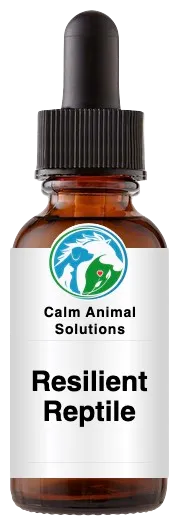 1 amber dropper bottle with Calm Animal Solutions label