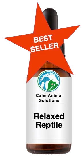 1 amber dropper bottle with Calm Animal Solutions label