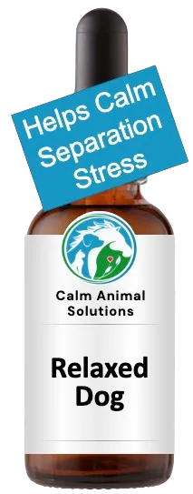 Calm Animal Solutions Relaxed Dog calming flower essence custom blended by Catherine Winfree for separation anxiety relief