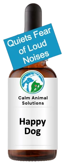 Calm Animal Solutions Happy Dog flower essence custom blended by animal communicator Catherine Winfree for thunder and noise fear