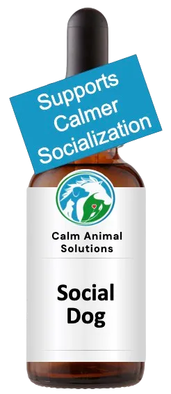 Calm Animal Solutions Social Dog flower essence for leash reactivity and social stress