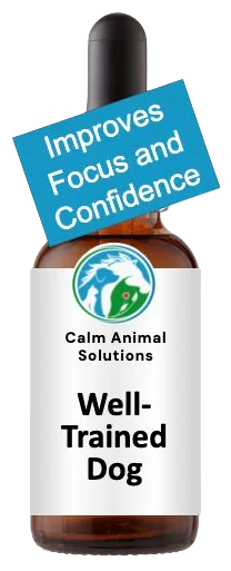 Flower essence blend for dog training focus and support