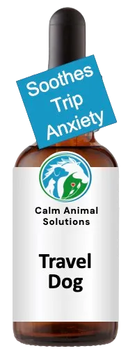 Calming flower essence for dogs during car rides and vet visits