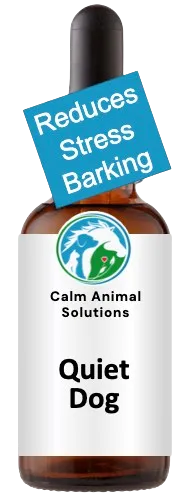 Calm Animal Solutions Quiet Dog calming flower essence for excessive barking
