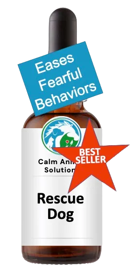 Calm Animal Solutions Rescue Dog flower essence custom blended by animal communicator Catherine Winfree for rescue dog stress and trust recovery