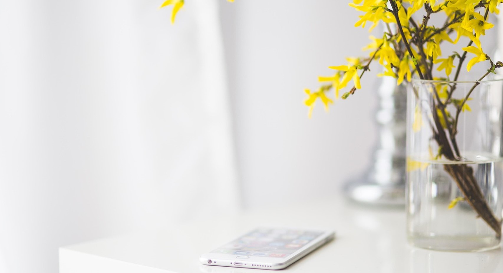 Calm and Focus natural flower essence blend for mental clarity and concentration