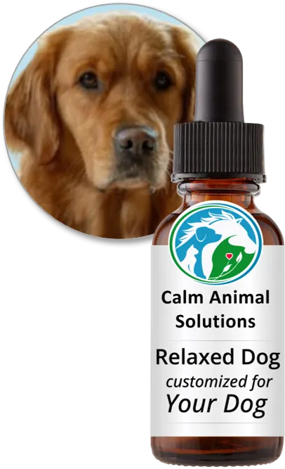 Relaxed Dog flower essence blend by Calm Animal Solutions, for separation anxiety and excessive barking in dogs  — customized for your dog