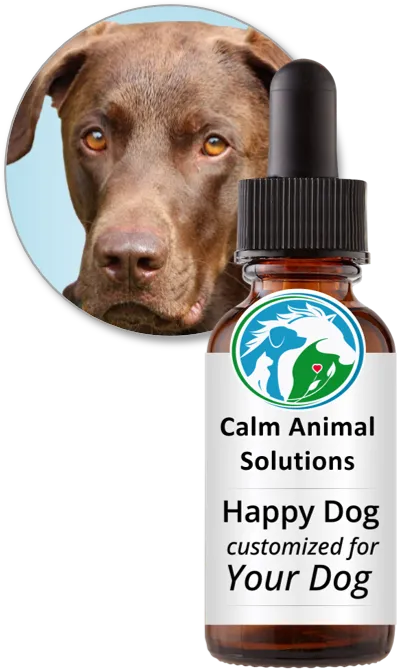 Happy Dog flower essence blend by Calm Animal Solutions, for dogs with fear of thunder, fireworks, and loud noises  — customized for your dog