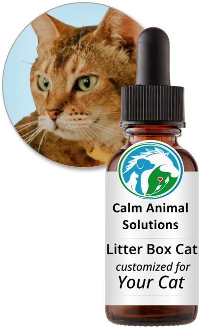 Litter Box Cat flower essence blend by Calm Animal Solutions, for stress-related litter box avoidance and accidents — customized for your cat