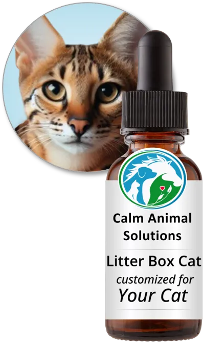 Litter Box Cat flower essence blend by Calm Animal Solutions, for stress-related litter box avoidance and accidents — customized for your cat