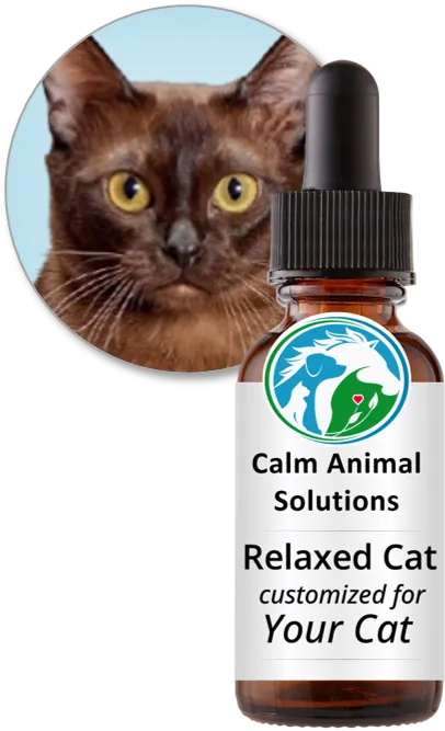 Relaxed Cat flower essence blend by Calm Animal Solutions, for cats with separation anxiety and excessive meowing— customized for your cat
