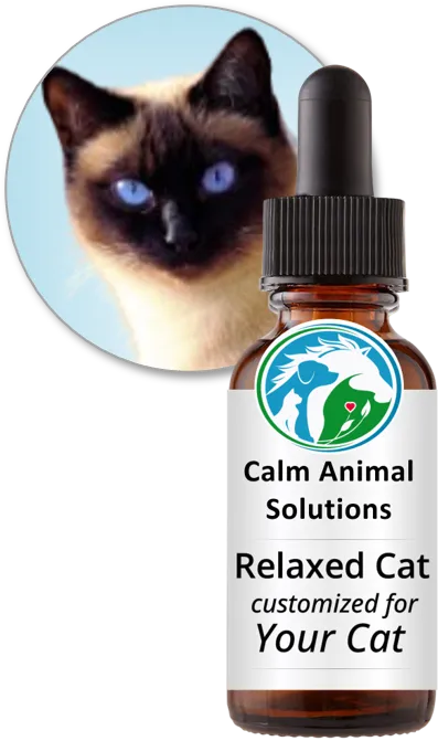 Relaxed Cat flower essence blend by Calm Animal Solutions, for cats with separation anxiety and excessive meowing— customized for your cat