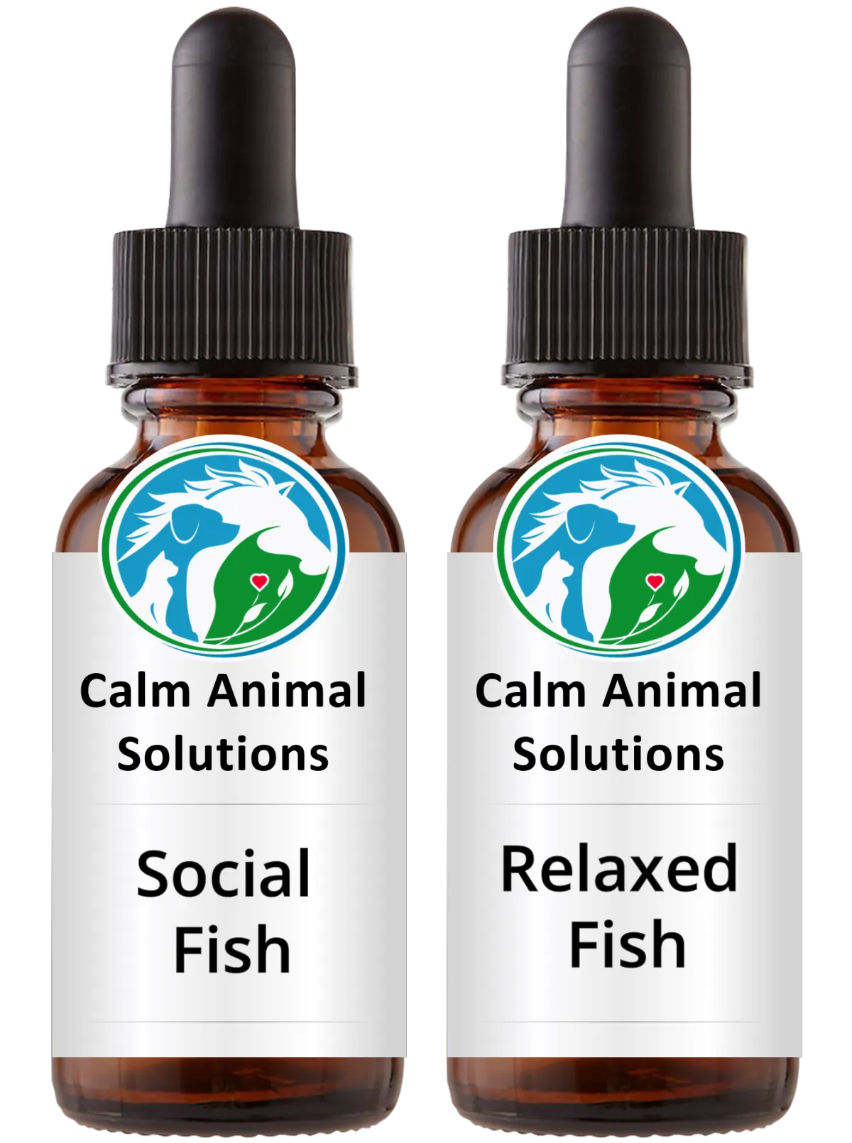 Calm Animal Solutions Social Fish and Relaxed Fish flower essence blends for fish tank stress and aggression