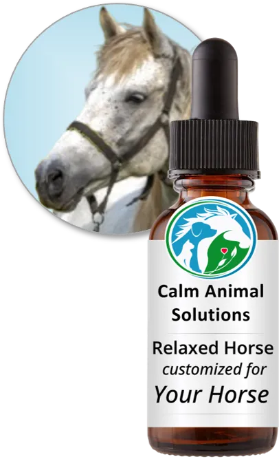 Relaxed Horse flower essence blend by Calm Animal Solutions, for horses whose stress response shows up as spooking, nervous tension, or an inability to settle without their person — customized for your horse