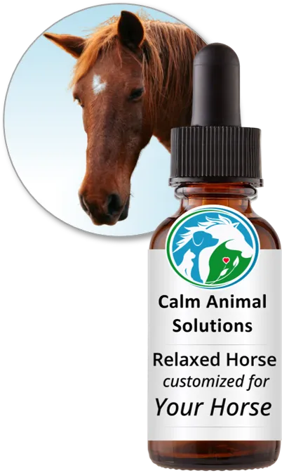Relaxed Horse flower essence blend by Calm Animal Solutions, for horses whose stress response shows up as spooking, nervous tension, or an inability to settle without their person — customized for your horse