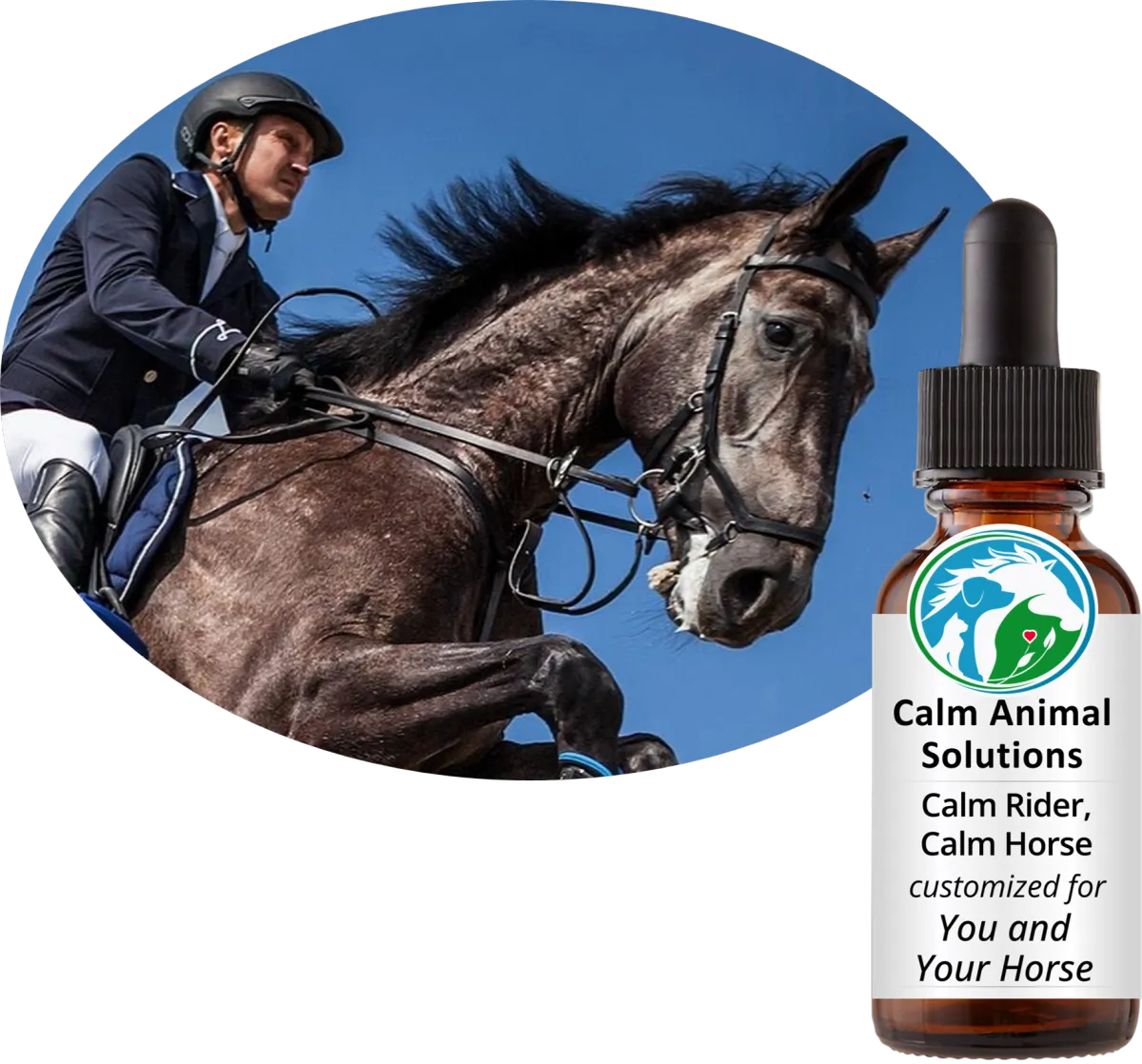 Show jumping rider and dark horse mid-jump — Calm Rider, Calm Horse custom flower essence blend for nervous rider and anxious horse