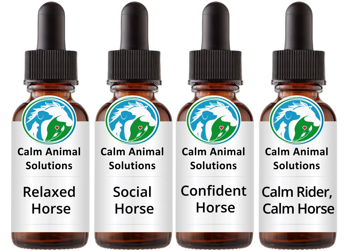 Calm Animal Solutions flower essence bottles Relaxed Horse For the Horse With Its Own Fear Layer, Social Horse For the Horse that is Socially Reactive when Rider is Tense, Confident Horse For the Horse That Needs a Confident Rider to Perform, Calm Horse For the Rider and Horse Anxiety Mirroring