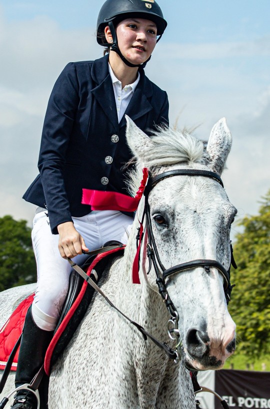 English rider and grey horse — Calm Rider, Calm Horse custom flower essence blend for horse and rider anxiety