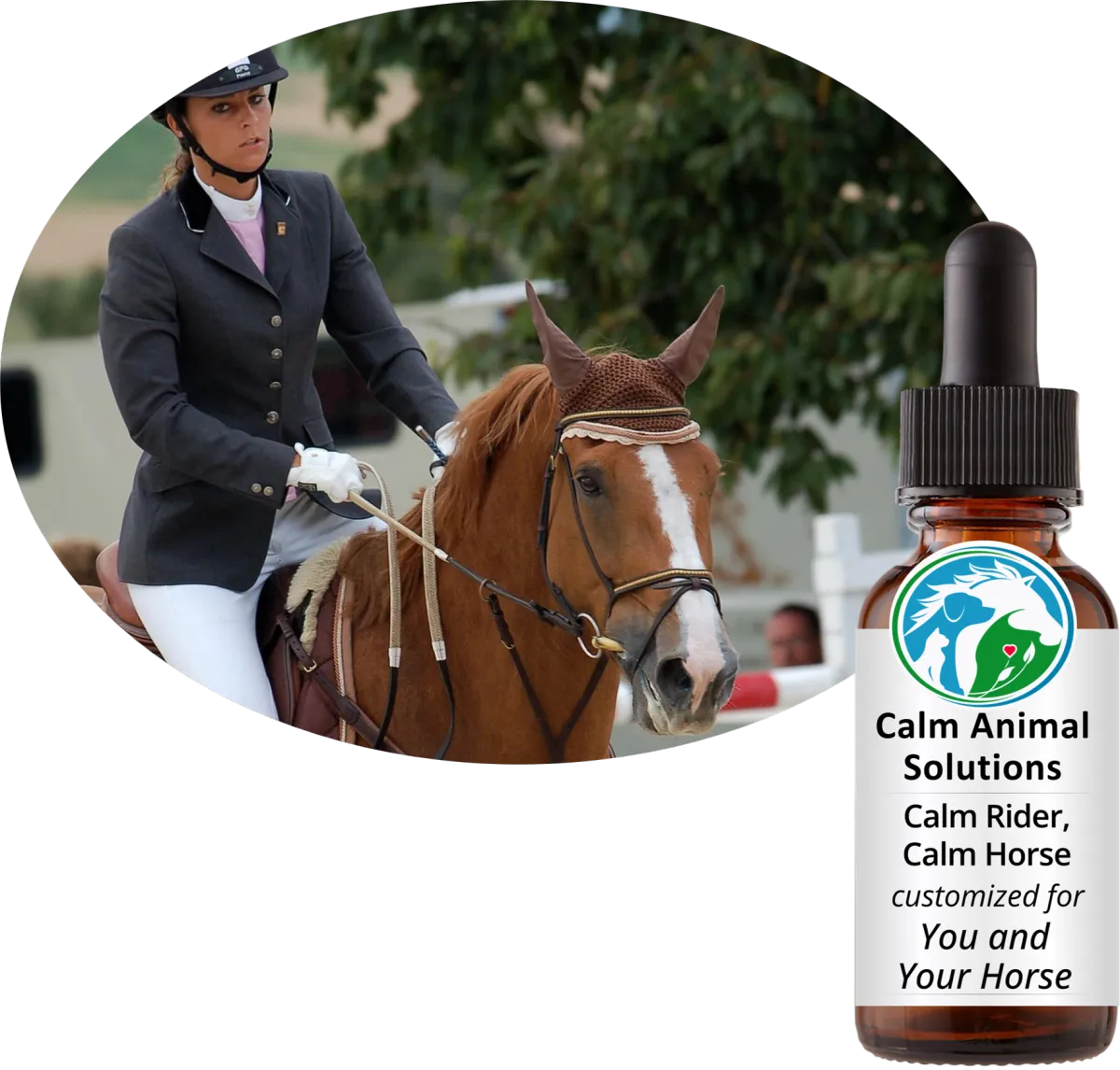 Dressage