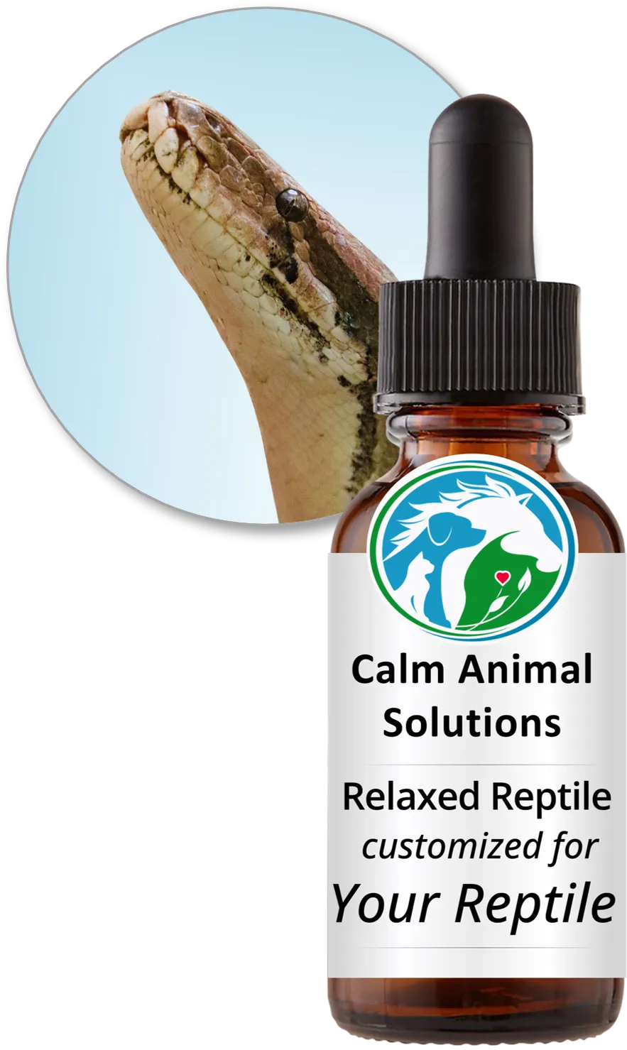 Ball python beside a Relaxed Reptile custom flower essence blend bottle from Calm Animal Solutions