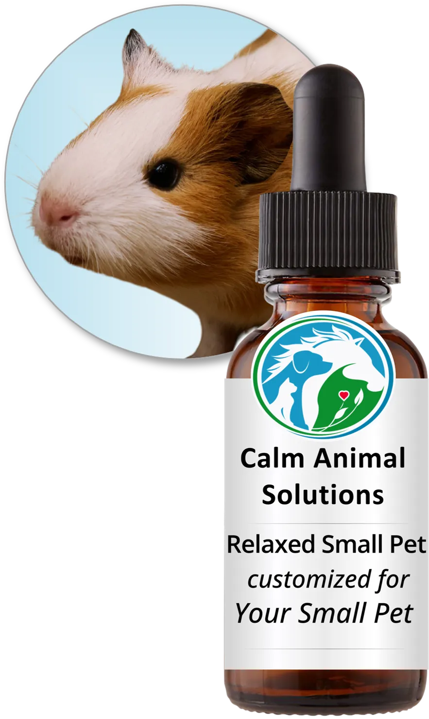 Relaxed Small Pet flower essence blend, customized for your guinea pig, by Calm Animal Solutions