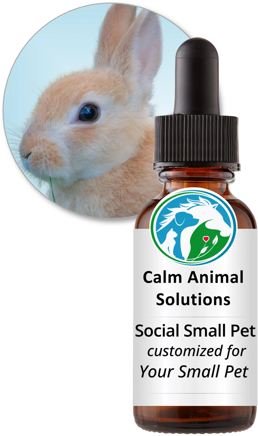 Social Small Pet flower essence blend, customized for your rabbit or other small pet, by Calm Animal Solutions for bullying, biting and aggressive behaviors
