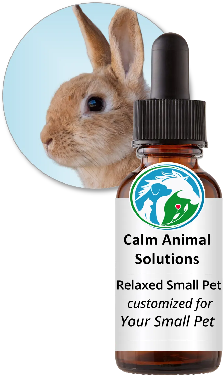 Relaxed Small Pet flower essence blend, customized for your rabbit, by Calm Animal Solutions