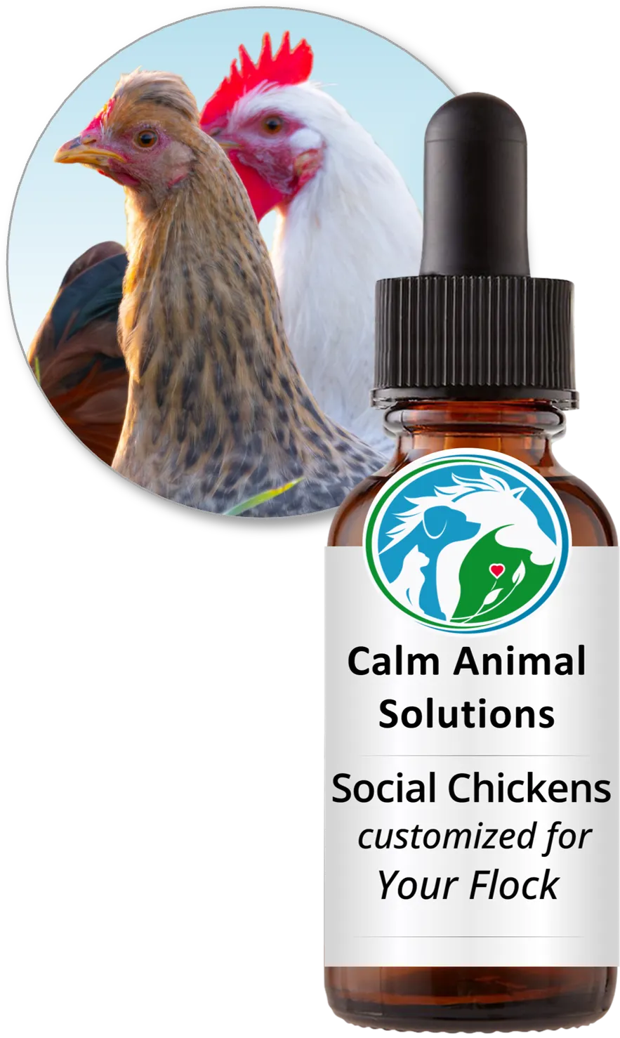 Rooster and hen together beside a Social Chickens custom flower essence blend bottle from Calm Animal Solutions