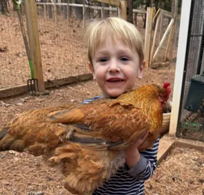 A happy child holding a brown chicken which is not showing signs f chicken stress