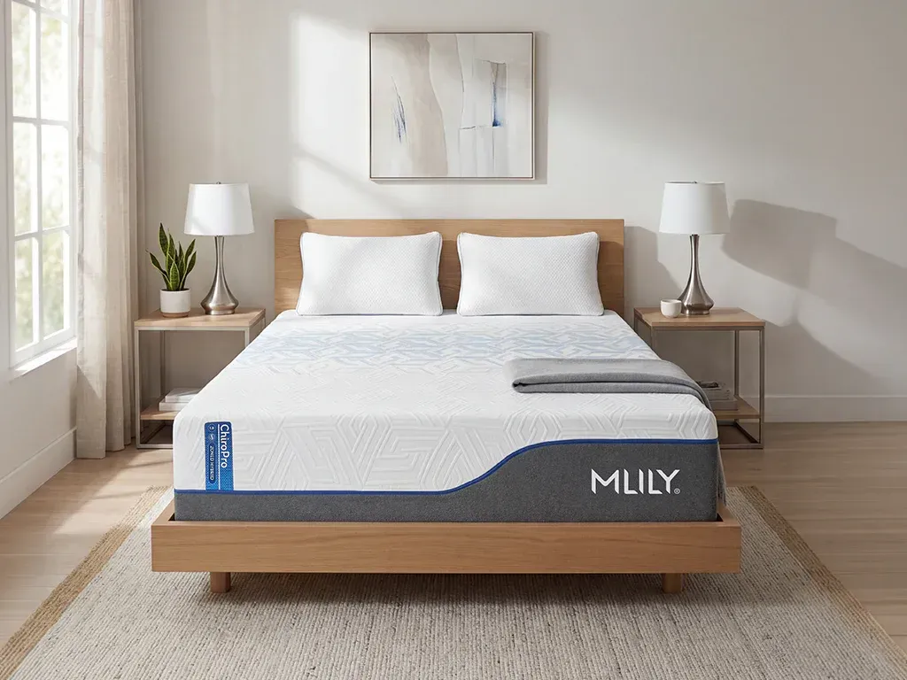 ICA-Lumbar Support Mattress