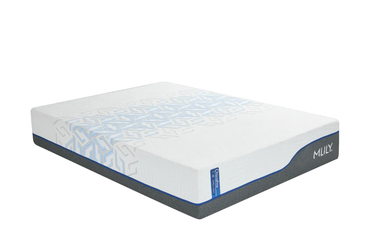 ICA-Double Support Mattress