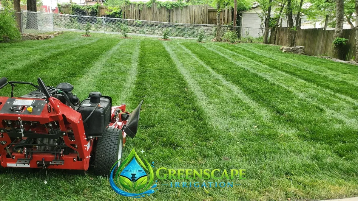 Commercial lawn maintenance in Plaza Hills, Chattanooga, TN