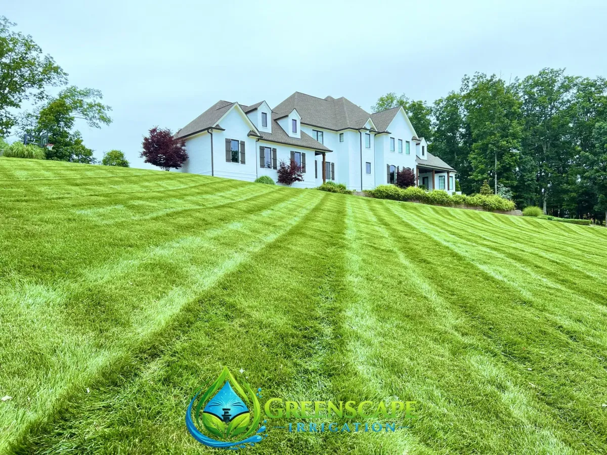 Residential lawn maintenance in Signal Mountain, TN