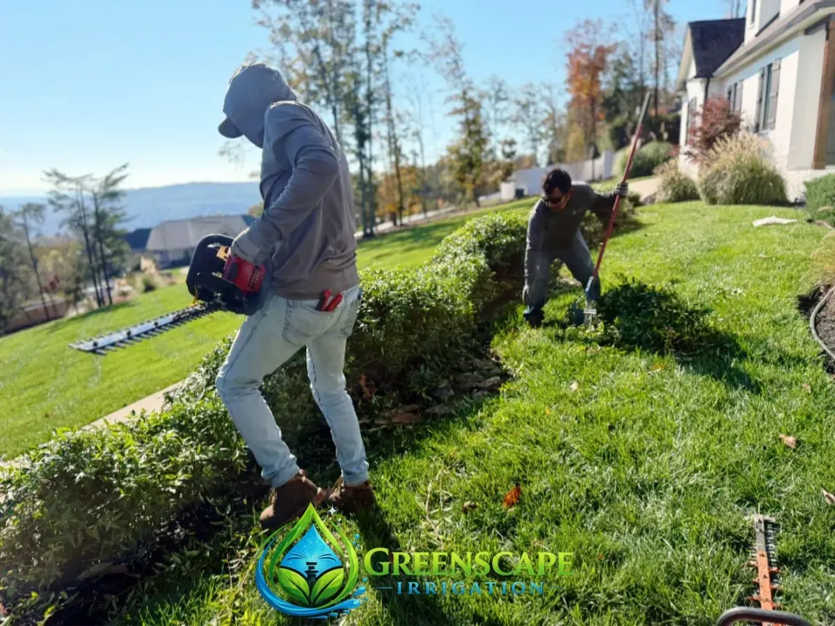 Shrub trimming service in Chattanooga, TN