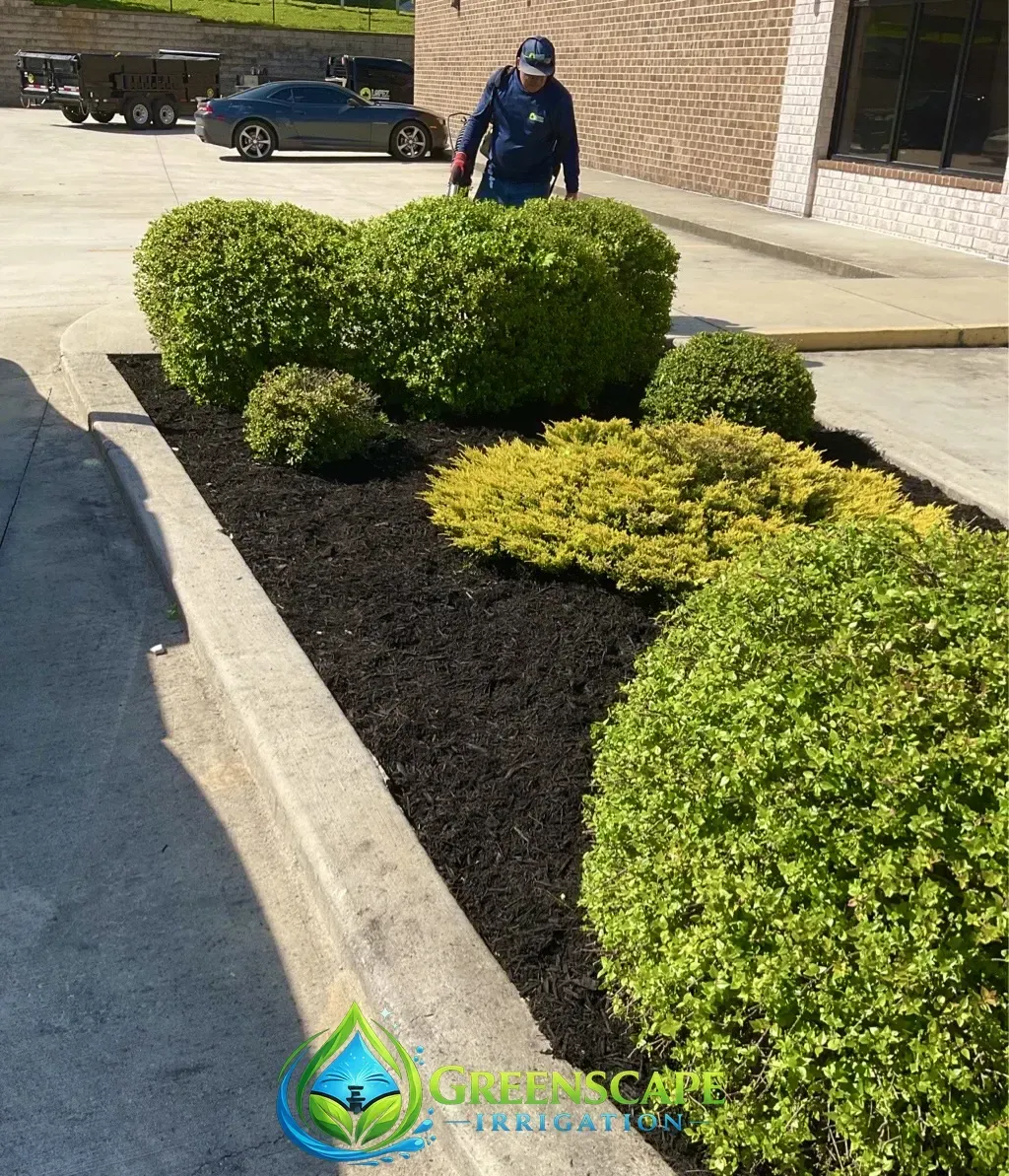 Trimming and mulching service in Hixson, Chattanooga, TN