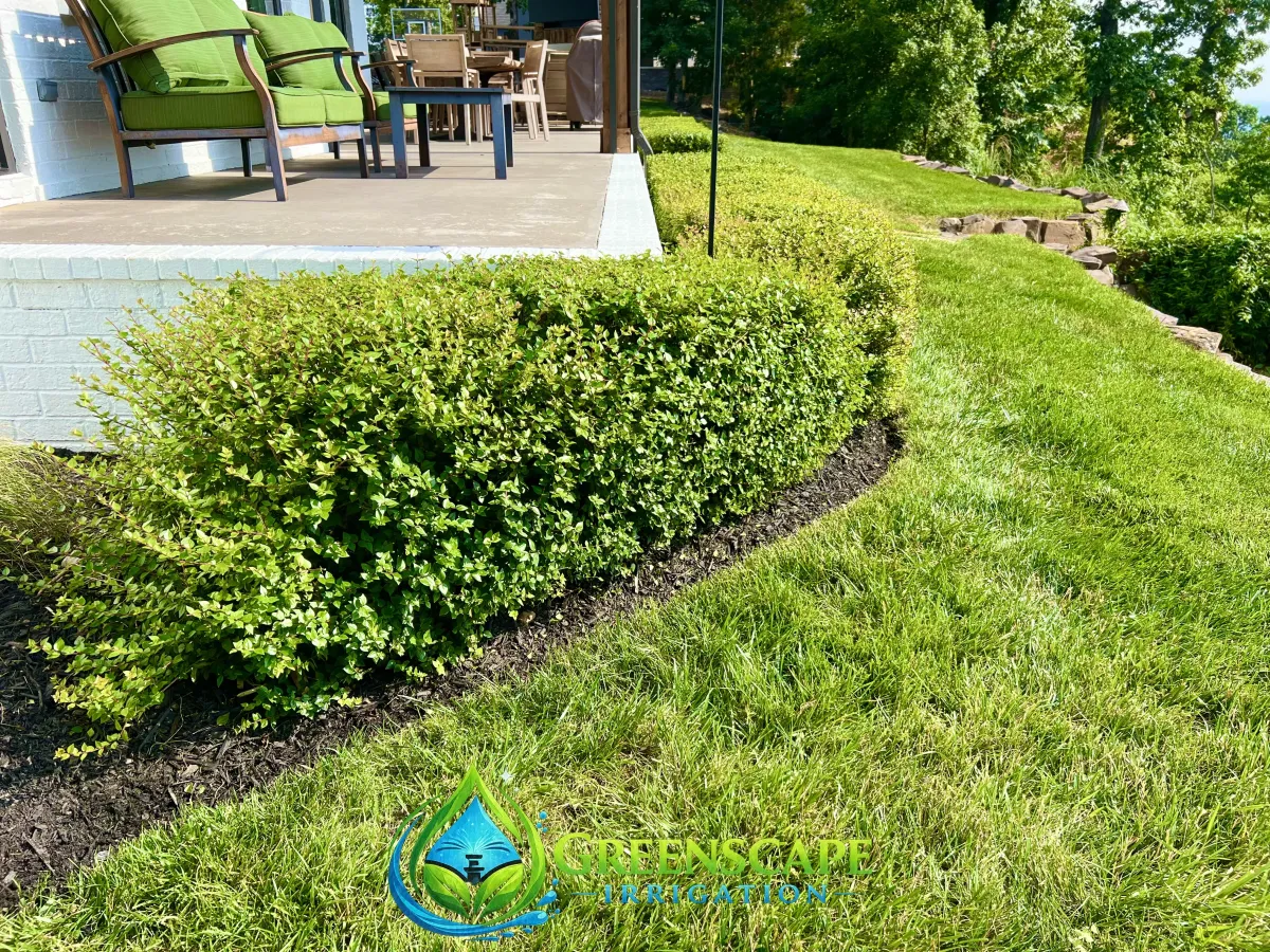 Shrub trimming service in Chattanooga, TN