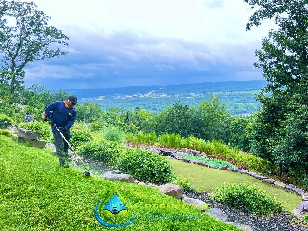 Trimming and property maintenance in Signal Mountain, TN