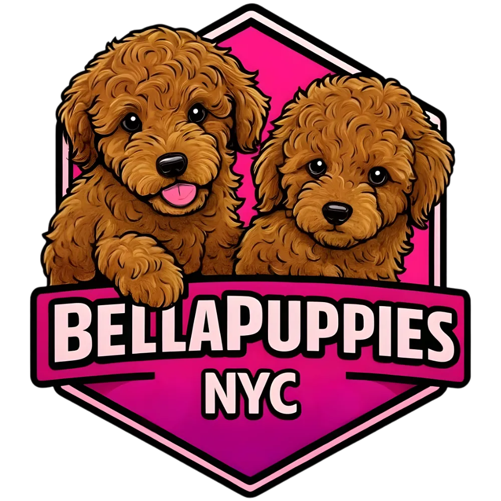 Dog Breeding Bergen county, NJ