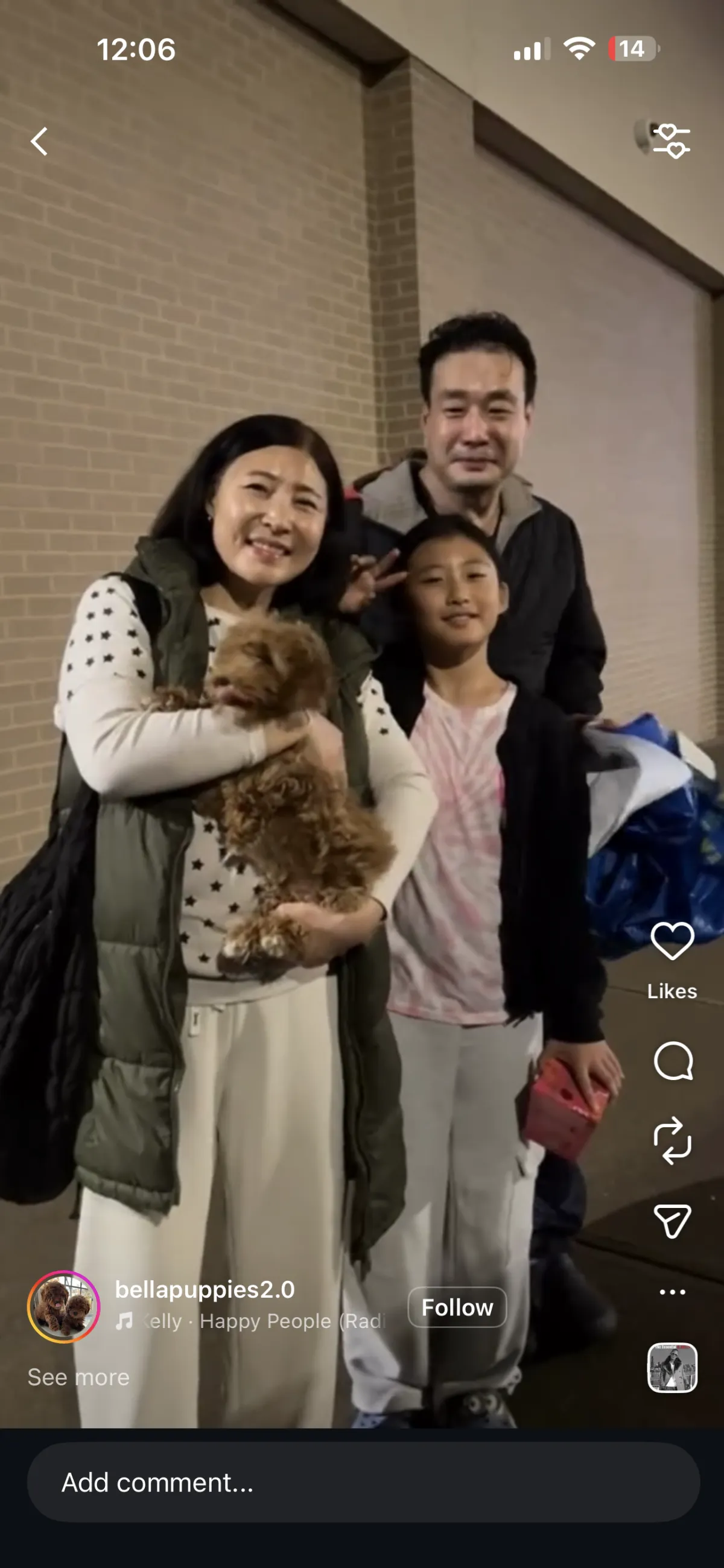  Puppy Events & Parties